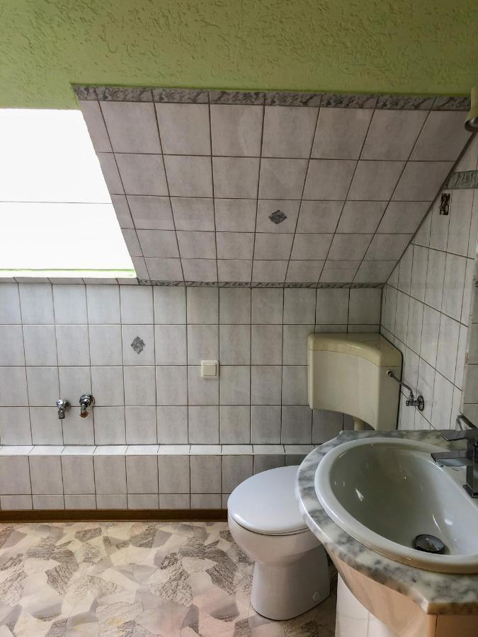 100Qm Ferienwohnung In Halberstadt, Dem Tor Zum Harz Exterior photo